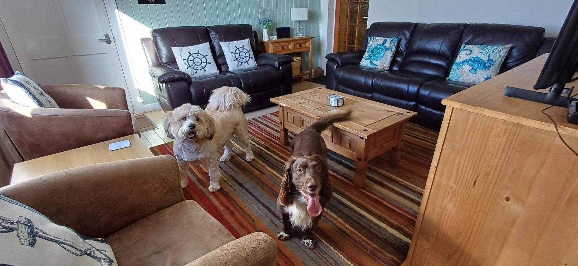 Seascape Holiday home Knock (Isle of Lewis)